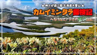 【カムイミンタラ探検記1 第4話完結編】大雪山黒岳でテント泊登山と御鉢平巡り【バックパックキャンプ】 [upl. by Yelyac]