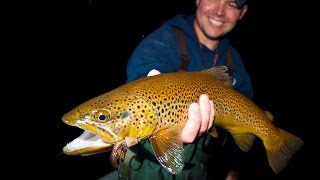 Hook Shots Mousing Nighttime Browns [upl. by Eixam]