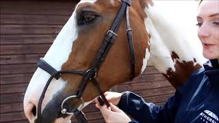 How to Fit a Collegiate ComFiTec Bridle  Collegiate UK [upl. by Oiziruam]