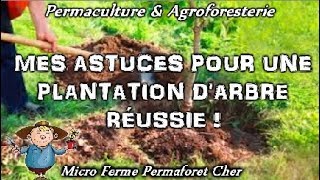 🌱 EN PERMACULTURE PLANTER UN ARBRE FRUITIER AU VERGER OU JARDIN POTAGER ASTUCES 100 RÉUSSITE [upl. by Marshall]