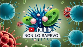 Come il Corpo Combatte le Infezioni Batteriche – Segreti delle Difese Immunitarie [upl. by Galven]