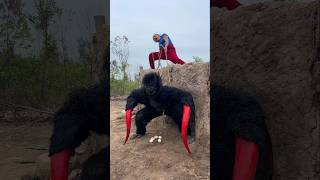 Brave girl confronts gorilla [upl. by Sylvester513]