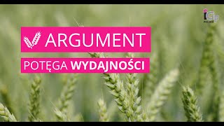 🌱 Pszenica ozima ARGUMENT [upl. by Rowney]