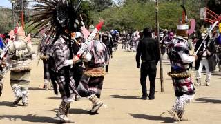 semana santa yaqui 2012 [upl. by Anilys450]