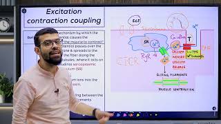 CVS 4 Contractility Part 1 [upl. by Adnylem]