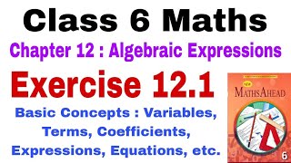 Class 6 Maths Exercise 121  Algebraic Expressions  Maths Ahead  Class 6 Algebra  Basic Concepts [upl. by Bartholemy]