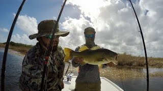 Florida Everglades Bass Fishing  AeroJet Canal [upl. by Ariad]