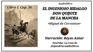 🪶🧔🏻 El ingenioso hidalgo don Quijote de La Mancha 3652 de Miguel de Cervantes • Cap 36 [upl. by Berk]