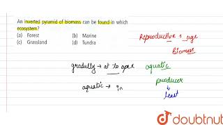 An inverted pyramid of biomass can be found in which ecosystem [upl. by Chemesh]