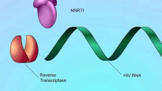 Mechanisms of Action of NonNucleoside Reverse Transcriptase Inhibitors NNRTIs [upl. by Brader]