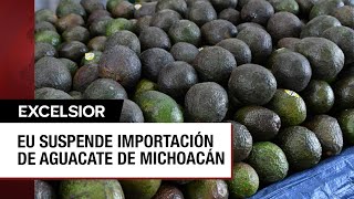 Estados Unidos cierra la puerta a la importación de aguacate mexicano [upl. by Ayenat712]