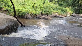 Cachoeira do Roncador PB uma aventura no Brejo Paraibano [upl. by Auqenat471]