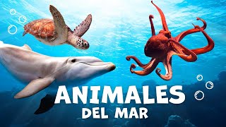 🦁 El REINO ANIMAL para NIÑOS de PRIMARIA  VERTEBRADOS e INVERTEBRADOS [upl. by Earahc189]