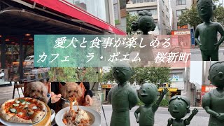 愛犬と食事が楽しめる カフェ ラ・ボエム 桜新町 サザエさん銅像前 [upl. by Shimberg179]