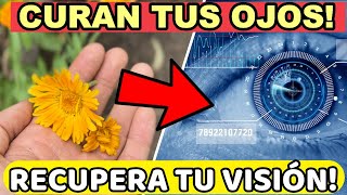 5 Plantas que Mejoran tu VISIÓN de Forma Natural Cuidan tu Vista y OJOS [upl. by Ardnek]