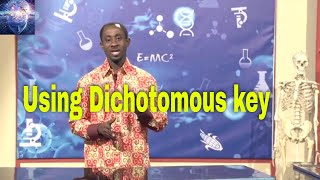 Using Dichotomous key in Biology  Identification of organisms [upl. by Marsden559]