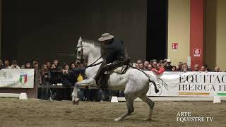 ARTE EQUESTRE TV  BERETTA ANGELO  DOMATI  FINALE CAMPIONATO ITALIANO 2024 [upl. by Hume454]