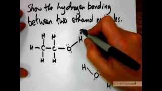 Hydrogen bonding in ethanol walkthrough [upl. by Ecinuahs]