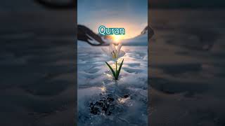 Jannatul Firdaus Quran Urdu Translation shortvideo islamicvideo youtube ytshorts youtubeshorts [upl. by Aisaim]