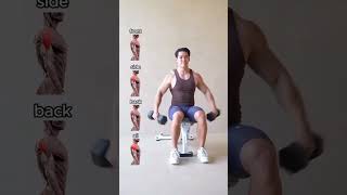 4 best exercises for 3d shoulders shorts fitness mr28 [upl. by Nahsyar853]