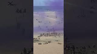 DDay Conneaut Ohio 2023 Beach Battle ￼Reenactment [upl. by Macmullin]