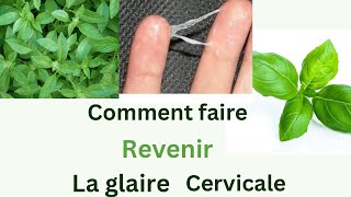 Comment faire revenir la glaire cervicale [upl. by Pierro]