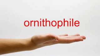 How to Pronounce ornithophile  American English [upl. by Uzial568]