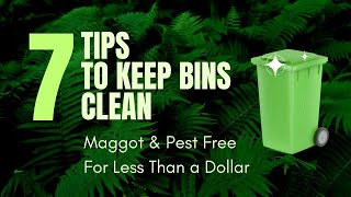 7 Easy Tips to Keep Your Green Bins Clean Maggot and OdorFree with the BagEZ Diy Cleaning System [upl. by Bertina]