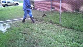 Craftsman 27cc weedeater in Action [upl. by Bealle]