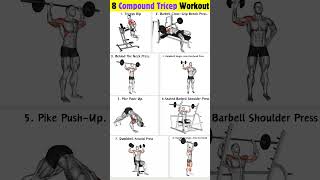 8 Compound Tricep Workout for Strength amp Mass workout tricepsworkout [upl. by Rehm413]