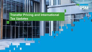 RSM Indonesia Webinar  Transfer Pricing and International Tax Updates [upl. by Talbert789]