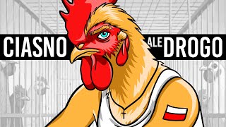 CHÓW KLATKOWY POLAKÓW 🐔🐔🐔 [upl. by Annoif]