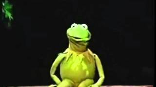 Muppet Voice Comparisons  Kermit the Frog [upl. by Fiden405]