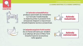 Videolezione  Le aziende di consumo e di produzione [upl. by Berck946]