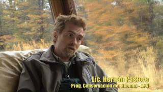 En la Senda del Huemul  Documental [upl. by Dal64]