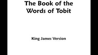 Tobit  KJV  Audio Bible [upl. by Obie]