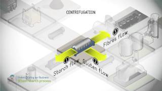 Wheat starch process [upl. by Hussein]