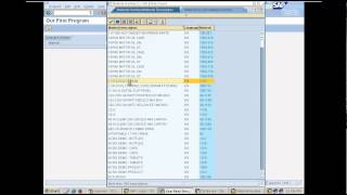 Creating our first report program in SAP  Day 4 [upl. by Arvell]