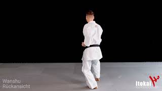 Itokai Karate  Kata Wanshu Shito Ryu  Rückansicht [upl. by Reve]