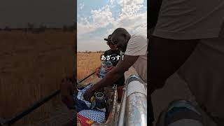 これこそ旅の醍醐味です アフリカ縦断6000kmの旅 YouTubeで本編公開中 アフリカ縦断 ガンプ鈴木 旅 [upl. by Anikat]