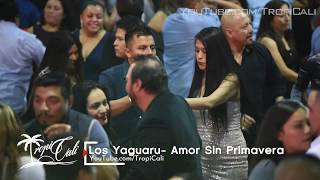 Amor Sin Primavera Los Yaguaru de Angel Venegas en vivo desde Los Angeles California 2018 [upl. by Peursem]