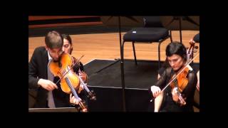 Telemann double viola concerto pour deux altos [upl. by Selena583]