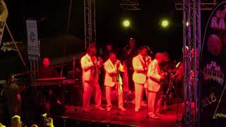 The Trammps LIVE in Italy Feat Dave NobleSoul [upl. by Nylirej155]