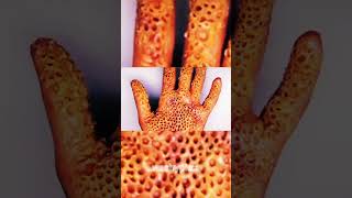 Worst phobias trypophobia phobia trypophobia urcristiano fyp foryou trend [upl. by Gessner763]