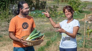 ORTO A OTTOBRE TRA PORRI FAGIOLINI TOPI E FORMICHE [upl. by Suirada]