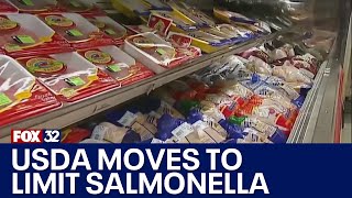 USDA moves to limit salmonella in raw poultry products [upl. by Jon483]