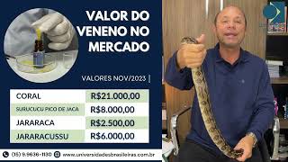 Aula Gratuita Criação Serpentes 56 min zap prof Marcos eu mesmo te atendo 15996361130 [upl. by Enovi]