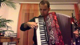 Waves of the Danube  Accordion [upl. by Evelinn]