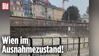 Hochwasser in Europa Die Flutwelle hat Wien erreicht [upl. by Bryana]