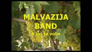 Malvazija band  A još te volin [upl. by Osana583]